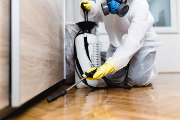 Best Emergency Pest Control  in De Queen, AR