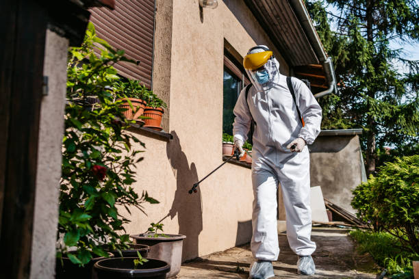 Best Commercial Pest Control Services  in De Queen, AR