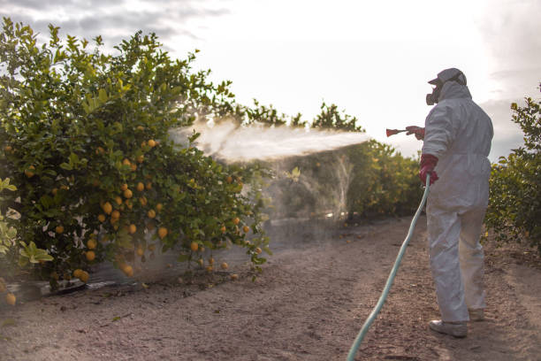 De Queen, AR Pest Control Pros