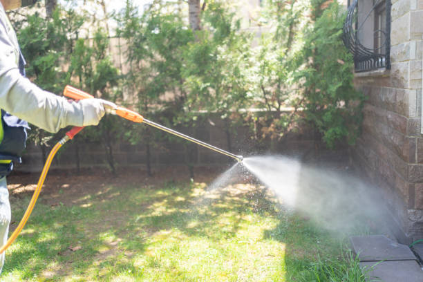 Best Pest Inspection Near Me  in De Queen, AR