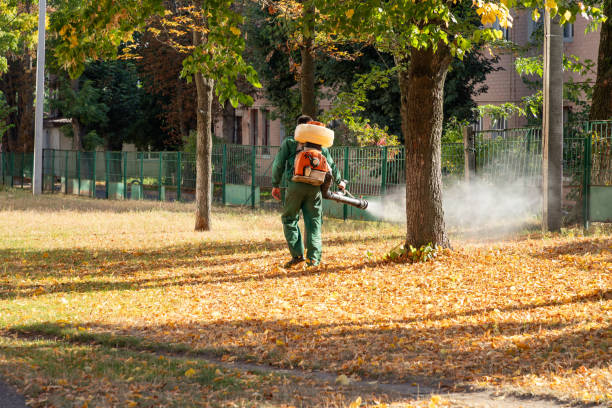 Best Wasp Removal Services  in De Queen, AR