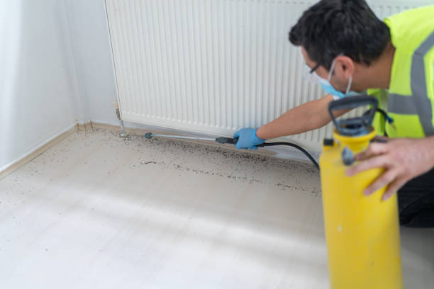 Best Exterminator Services  in De Queen, AR